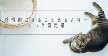 感情的になることあるよね〜という肯定感