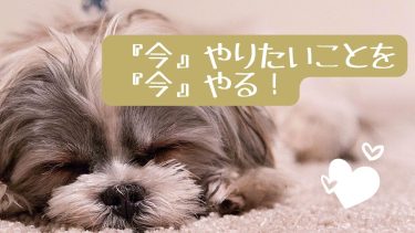 『今』やりたいことを『今』やる！