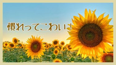 慣れってこわい！！