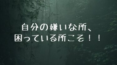 自分の嫌いな所、困っている所こそ！！！