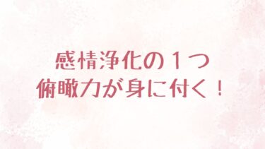 感情浄化の１つ、俯瞰力が身に付く！